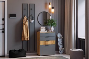 МЕБЕЛЬСОН К21 Прихожая  (графит) в Набережных Челнах - naberezhnye-chelny.ok-mebel.com | фото