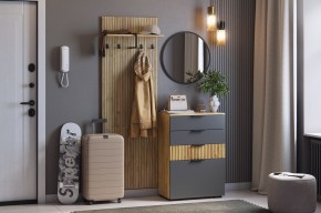 МЕБЕЛЬСОН К3 Прихожая в Набережных Челнах - naberezhnye-chelny.ok-mebel.com | фото 2