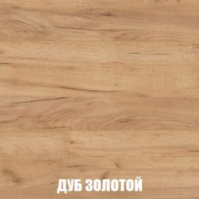 МСП-1 Шкаф 2-х створчатый (Дуб Золотой/Камень темный) в Набережных Челнах - naberezhnye-chelny.ok-mebel.com | фото 4