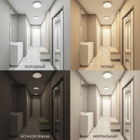Накладной светильник Denkirs Cany DK6516-WH в Набережных Челнах - naberezhnye-chelny.ok-mebel.com | фото 2