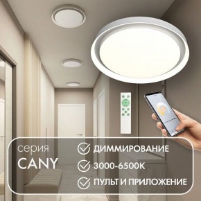 Накладной светильник Denkirs Cany DK6516-WH в Набережных Челнах - naberezhnye-chelny.ok-mebel.com | фото 4