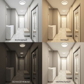 Накладной светильник Denkirs PLATO DK6510-WH в Набережных Челнах - naberezhnye-chelny.ok-mebel.com | фото 2