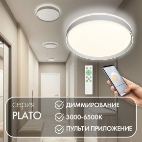 Накладной светильник Denkirs PLATO DK6511-WH/1 в Набережных Челнах - naberezhnye-chelny.ok-mebel.com | фото 4