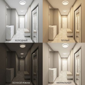 Накладной светильник Denkirs PLATO DK6511-WH/1 в Набережных Челнах - naberezhnye-chelny.ok-mebel.com | фото 5