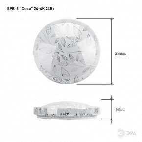Накладной светильник Эра Классик SPB-6-24-4K (C) в Набережных Челнах - naberezhnye-chelny.ok-mebel.com | фото 6