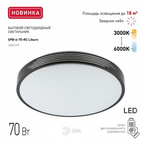 Накладной светильник Эра Классик SPB-6-70-RC Liburn в Набережных Челнах - naberezhnye-chelny.ok-mebel.com | фото 10