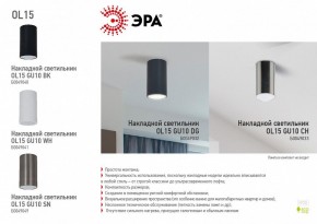 Накладной светильник Эра OL15 GU10 CH Б0049033 в Набережных Челнах - naberezhnye-chelny.ok-mebel.com | фото 5