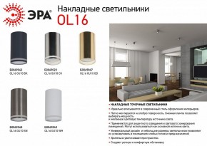 Накладной светильник Эра OL16 GU10 GD Б0049047 в Набережных Челнах - naberezhnye-chelny.ok-mebel.com | фото 5