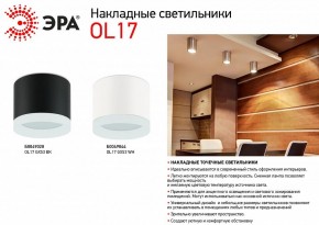 Накладной светильник Эра OL17 GX53 BK Б0049028 в Набережных Челнах - naberezhnye-chelny.ok-mebel.com | фото 3