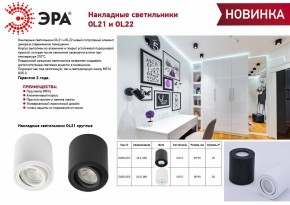 Накладной светильник Эра OL22 BK Б0054395 в Набережных Челнах - naberezhnye-chelny.ok-mebel.com | фото 3