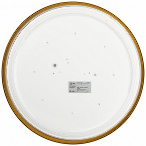 Накладной светильник Эра Relict Relict 38 SPB-6-40 4К MG в Набережных Челнах - naberezhnye-chelny.ok-mebel.com | фото 3