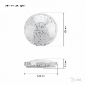 Накладной светильник Эра Relict SPB-6-50-6,5K Syuzi в Набережных Челнах - naberezhnye-chelny.ok-mebel.com | фото 3