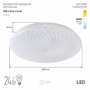 Накладной светильник Эра Slim SPB-6 Slim 3 24-4K в Набережных Челнах - naberezhnye-chelny.ok-mebel.com | фото 2