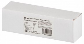 Накладной светильник Эра  TRM-S5-1-6W4K-WH в Набережных Челнах - naberezhnye-chelny.ok-mebel.com | фото 6