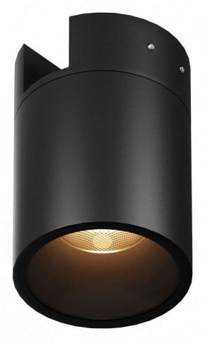 Накладной светильник Maytoni Alfa O-TR01-2-S-16WB3K в Набережных Челнах - naberezhnye-chelny.ok-mebel.com | фото