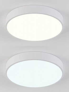Накладной светильник Natali Kovaltseva  LED LAMPS 81111/5C в Набережных Челнах - naberezhnye-chelny.ok-mebel.com | фото 4