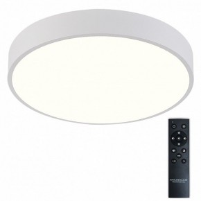 Накладной светильник Natali Kovaltseva  LED LAMPS 81112/5C в Набережных Челнах - naberezhnye-chelny.ok-mebel.com | фото 2