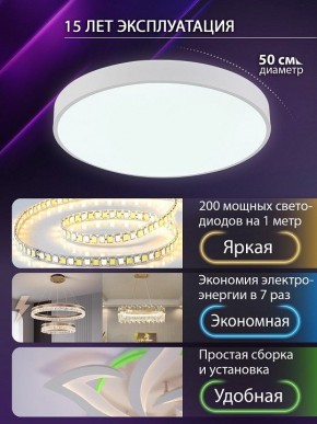 Накладной светильник Natali Kovaltseva  LED LAMPS 81112/5C в Набережных Челнах - naberezhnye-chelny.ok-mebel.com | фото 4