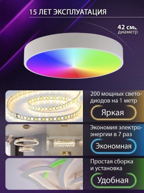 Накладной светильник Natali Kovaltseva MODERN LED LAMPS 81105/1C в Набережных Челнах - naberezhnye-chelny.ok-mebel.com | фото 6