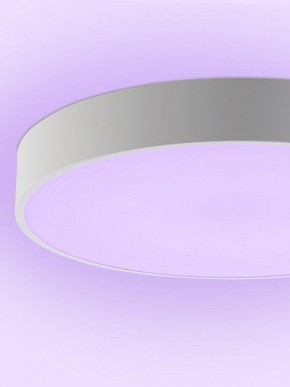 Накладной светильник Natali Kovaltseva MODERN LED LAMPS 81105/1C в Набережных Челнах - naberezhnye-chelny.ok-mebel.com | фото 9