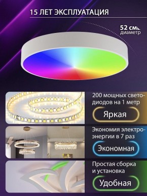 Накладной светильник Natali Kovaltseva MODERN LED LAMPS 81105/2C в Набережных Челнах - naberezhnye-chelny.ok-mebel.com | фото 6