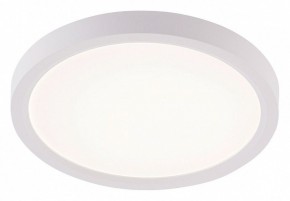 Накладной светильник Natali Kovaltseva PLAIN LED LAMPS 81113/1C в Набережных Челнах - naberezhnye-chelny.ok-mebel.com | фото