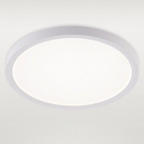 Накладной светильник Natali Kovaltseva PLAIN LED LAMPS 81113/2C в Набережных Челнах - naberezhnye-chelny.ok-mebel.com | фото 2