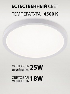 Накладной светильник Natali Kovaltseva PLAIN LED LAMPS 81113/2C в Набережных Челнах - naberezhnye-chelny.ok-mebel.com | фото 3