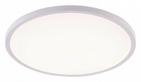 Накладной светильник Natali Kovaltseva PLAIN LED LAMPS 81113/5C в Набережных Челнах - naberezhnye-chelny.ok-mebel.com | фото