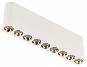 Накладной светильник Odeon Light Small 7091/21CL в Набережных Челнах - naberezhnye-chelny.ok-mebel.com | фото