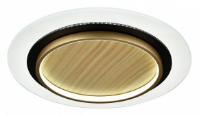 Накладной светильник Sonex Sunny 7731/80L в Набережных Челнах - naberezhnye-chelny.ok-mebel.com | фото