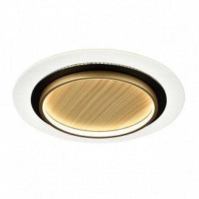 Накладной светильник Sonex Sunny 7731/80L в Набережных Челнах - naberezhnye-chelny.ok-mebel.com | фото 4