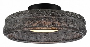 Накладной светильник ST-Luce ANTIKE SL6143.412.01 в Набережных Челнах - naberezhnye-chelny.ok-mebel.com | фото 2