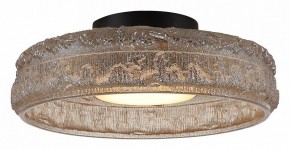 Накладной светильник ST-Luce ANTIKE SL6143.422.01 в Набережных Челнах - naberezhnye-chelny.ok-mebel.com | фото 3