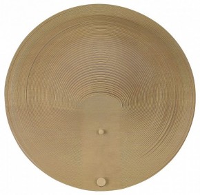 Накладной светильник ST-Luce Fossil SL6900.501.16 в Набережных Челнах - naberezhnye-chelny.ok-mebel.com | фото