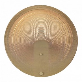 Накладной светильник ST-Luce Fossil SL6900.501.16 в Набережных Челнах - naberezhnye-chelny.ok-mebel.com | фото 2