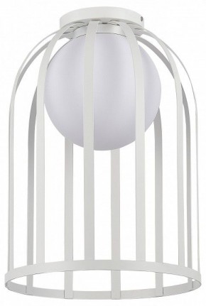 Накладной светильник ST-Luce Nordic SL6129.502.01 в Набережных Челнах - naberezhnye-chelny.ok-mebel.com | фото