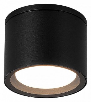 Накладной светильник ST-Luce Tubo SL9006.402.01 в Набережных Челнах - naberezhnye-chelny.ok-mebel.com | фото 2