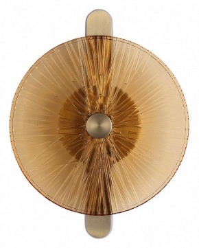 Накладной светильник ST-Luce WASI SL6141.311.01 в Набережных Челнах - naberezhnye-chelny.ok-mebel.com | фото