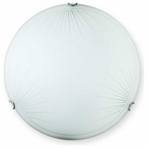 Накладной светильник TopLight Wifa TL9142Y-00WH в Набережных Челнах - naberezhnye-chelny.ok-mebel.com | фото