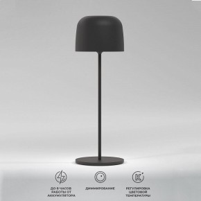 Настольная лампа декоративная Elektrostandard Bitty a069002 в Набережных Челнах - naberezhnye-chelny.ok-mebel.com | фото 2