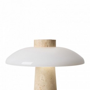Настольная лампа декоративная Freya Sunspot FR5482TL-L7BG в Набережных Челнах - naberezhnye-chelny.ok-mebel.com | фото 8