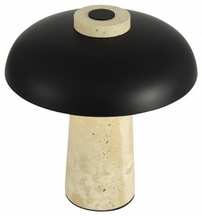 Настольная лампа декоративная ST-Luce Earthy SL1194.424.01 в Набережных Челнах - naberezhnye-chelny.ok-mebel.com | фото 5
