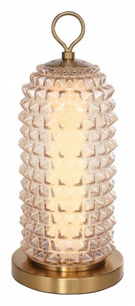 Настольная лампа декоративная ST-Luce SAGUARO SL6144.304.01 в Набережных Челнах - naberezhnye-chelny.ok-mebel.com | фото 2