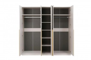 НИКОЛЬ 25 Шкаф 5-ти створчатый в Набережных Челнах - naberezhnye-chelny.ok-mebel.com | фото 3