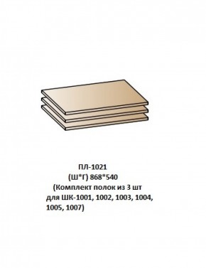 ПЛ-1021 (Комплект полок из 3 шт для ШК-1001, 1002, 1003, 1004, 1005, 1007) в Набережных Челнах - naberezhnye-chelny.ok-mebel.com | фото