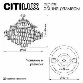 Подвесная люстра Citilux Naiad CL315192 в Набережных Челнах - naberezhnye-chelny.ok-mebel.com | фото 6