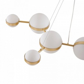Подвесная люстра Favourite Asterismo 4448-8P в Набережных Челнах - naberezhnye-chelny.ok-mebel.com | фото 7