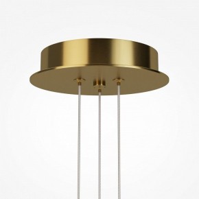 Подвесная люстра Maytoni Arana MOD401PL-L108BS3K в Набережных Челнах - naberezhnye-chelny.ok-mebel.com | фото 7
