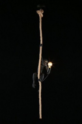 Подвесной светильник Aployt Magali APL.309.16.01 в Набережных Челнах - naberezhnye-chelny.ok-mebel.com | фото 3